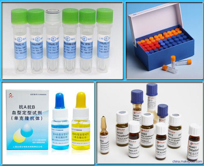 ԇb_Ԅ(dng)ԇbO(sh)Ʒչʾ